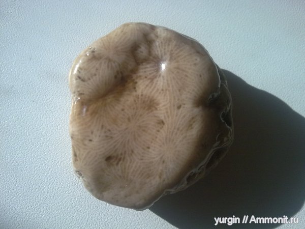 р. Белая