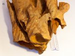 Крупная ризоконкреция из песчанонго карьера