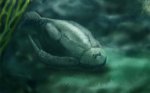 Море верхнего девона. Фрагмент. Bothriolepis