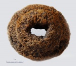 Губка Siderospongia