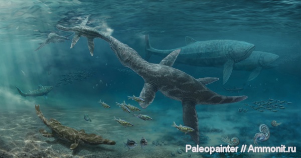 келловей, Quenstedtoceras, Liopleurodon