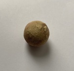 Иглокожее?