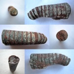 Палеозойская Nautiloidea