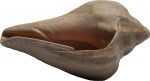 Athleta listerarum (Le Renard) 1