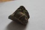 Другой ракурс брахиоподы