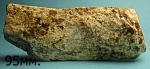Лучевая кита.