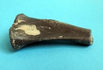 Большая берцовая Phoca. 54мм.