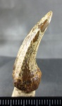 Крупная коронка.