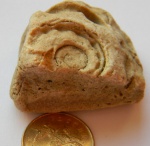 палеозойская гастропода Euomphalus moniliferus