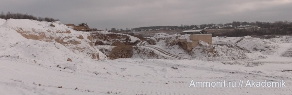 карбон, нижний карбон, Тульская область, Гурьевский карьер