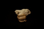 Illaenus dalmani VOLBORTH 1863