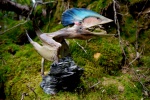 Tupuxuara