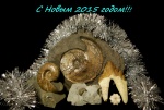 С Новым годом товарищи!!!