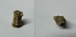 Стебель лилии Pentacrinus sp.