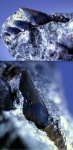 Зуб гребнезубой акулы Hexanchiformes indet.