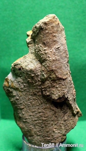 мел, мезозой, апт, р. Губс, Мостовский район, Aptian, Cretaceous