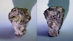 Саратовская губка