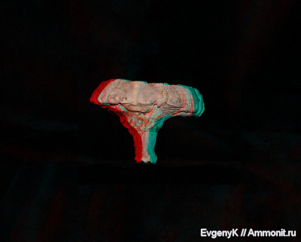 Губки в 3D
