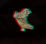 Sestrocladia sp.