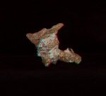 Rhizopoterion santonicum
