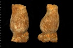 Jerea tulipa +3D модель