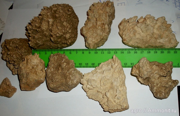 мел, cone-in-cone, Cretaceous