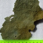 Yelovichnus