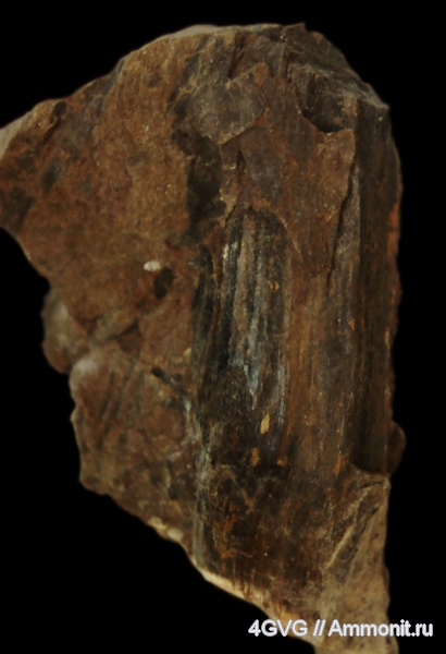 триас, Triassic