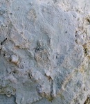 карьер Домодедовский 2016 морская лилия