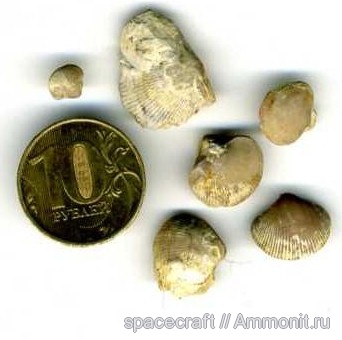 Theodossia