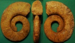 Crioceratites