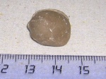 Брахиопода Lycophoria Dalm