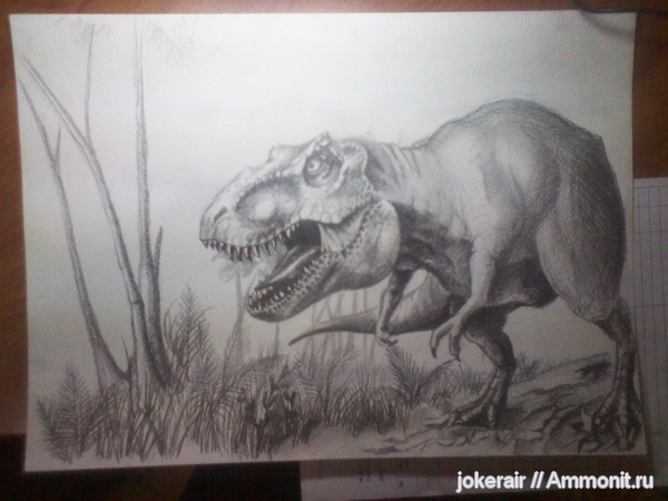 рептилии, мел, меловой период, тираннозавры, мезозойская эра, Tyrannosaurus, Tyrannosauridae, Cretaceous