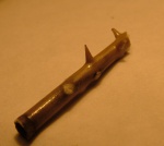 Rhabdocidaris spinigera