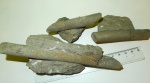 Краснодарский край