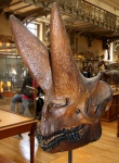 Arsinoitherium zitteli
