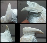 Карина усоногого рака Arcoscalpellum gracile