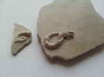 Neovermilia сf. ampullacea