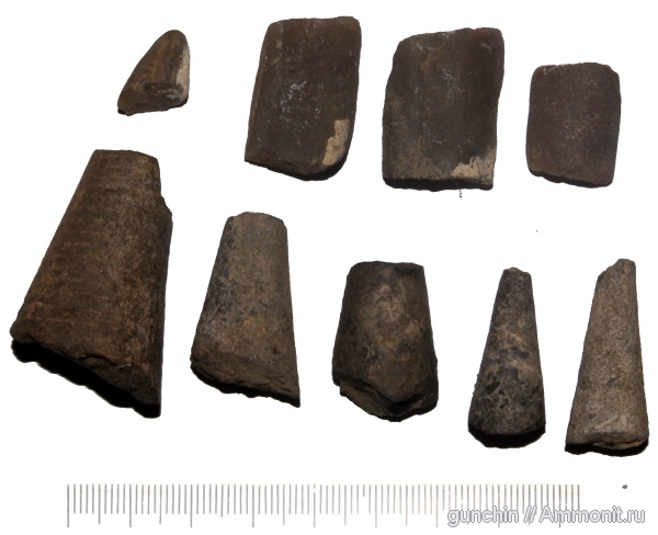 белемниты, Самарская область, belemnites