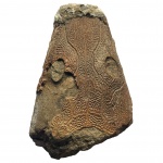 Thoosuchus