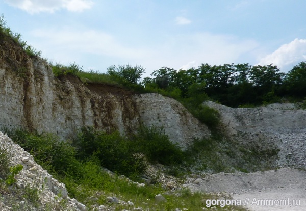 мел, Cretaceous