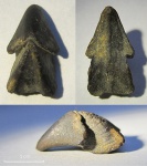 Hadrocheilus (Arcuatobeccus) kuturkajensis Shimansky