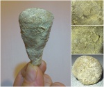 Губка Rhizopoterion baidarensis
