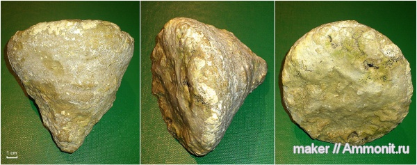 губки, берриас, Крым, Байдарская долина, Berriasian