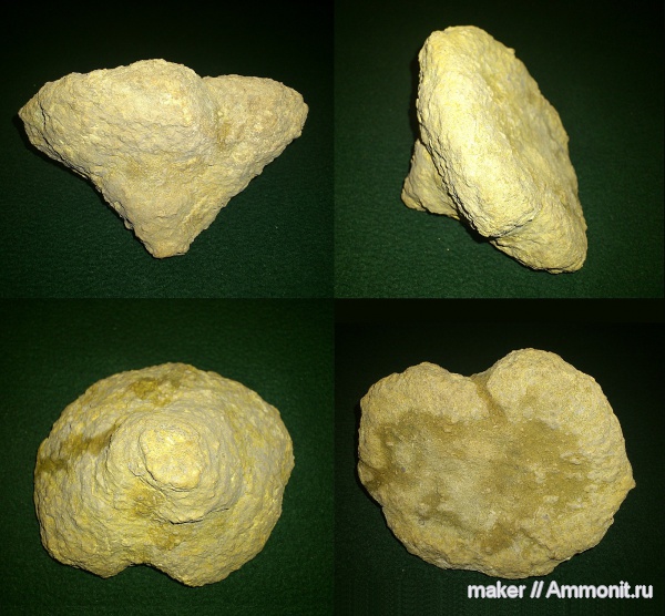 губки, берриас, Крым, Байдарская долина, Berriasian