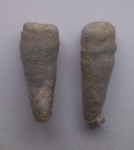 Губки Peronidella sp. Малютки