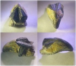 Hadrocheilus с (?) замещённой органикой