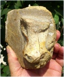 Менестерский зверь. Фаланга стопы. Dinosauria, (?) Theropoda