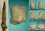 Менестерский зверь. ?Phalange, Dinosauria Менестерский зверь. ?Phalange, Dinosauria