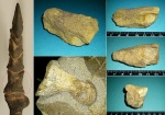 Менестерский зверь. ?Phalange, Dinosauria Менестерский зверь. ?Phalange, Dinosauria
